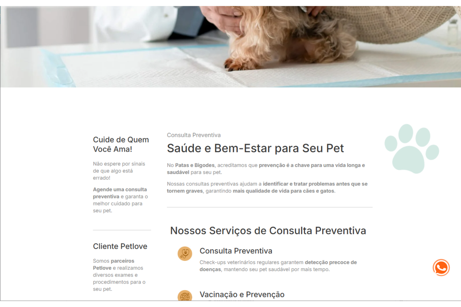 novamedia-projetos-patasebigodes-02